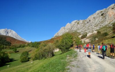 Errores al Planificar el Camino de Santiago (y Cómo Evitarlos)